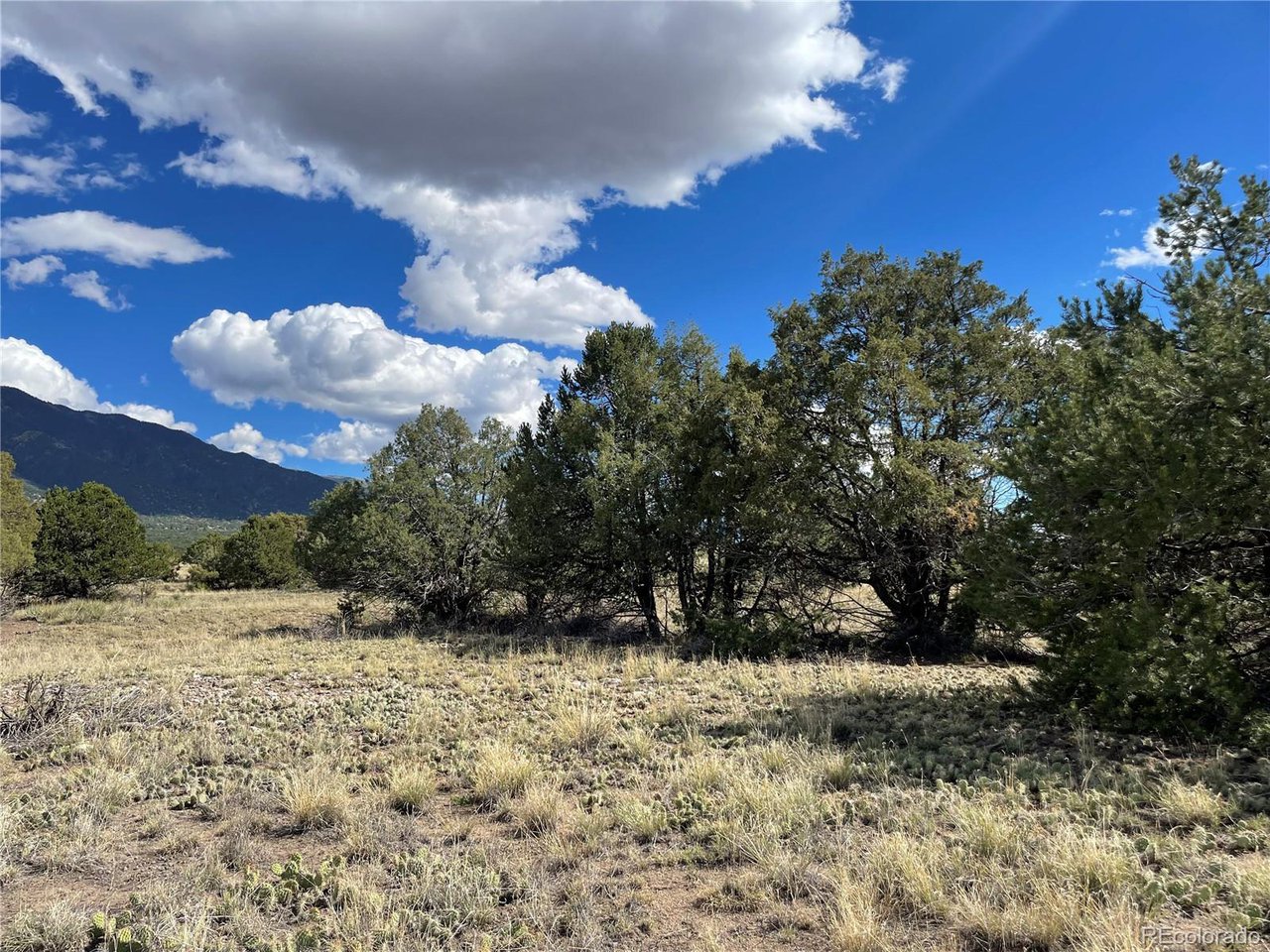 Land in Crestone 3