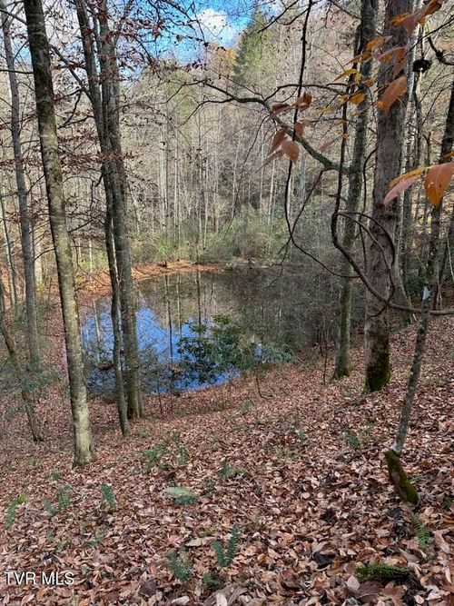 Tbd Retriever Ln, Haysi, VA, 24256 | Card Image