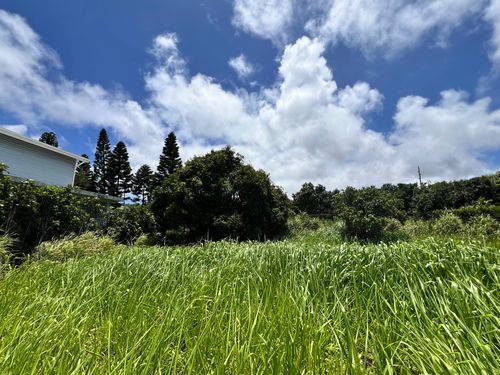 94-6493 Keoki St, NAALEHU, HI, 96772 | Card Image