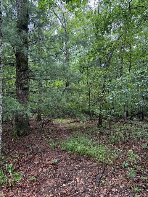 929 Kemah Ln, Crossville, TN, 38572-1009 | Card Image