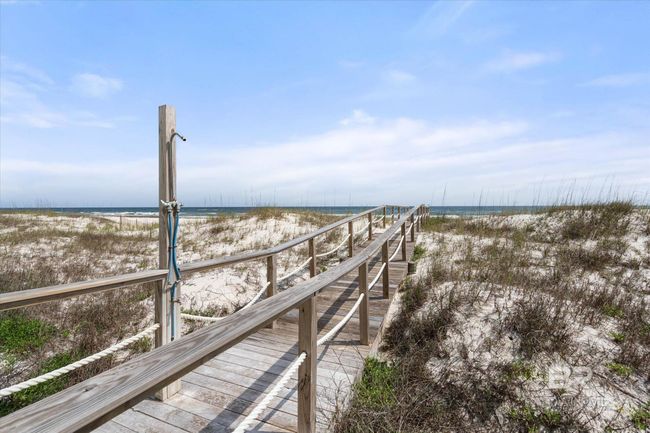 Dock | Image 29
