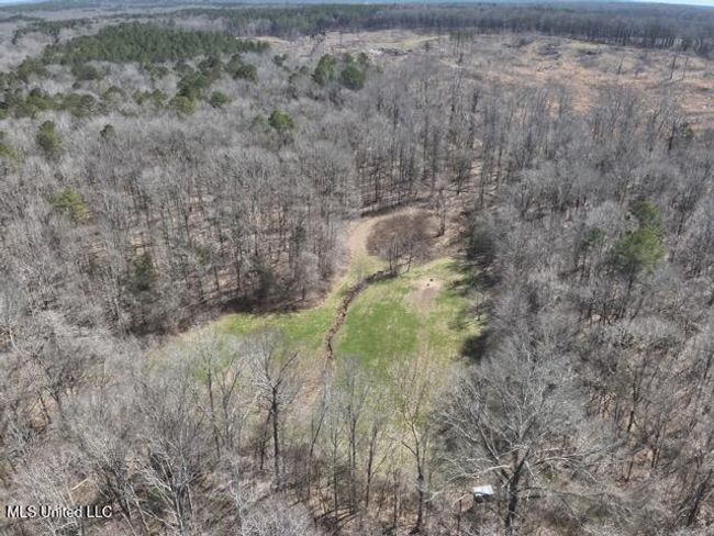 DJI_20250303122035_0012_V Medium | Image 16