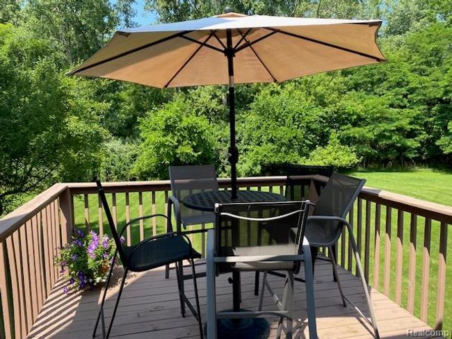 IMG_3721.jpg | Image 5