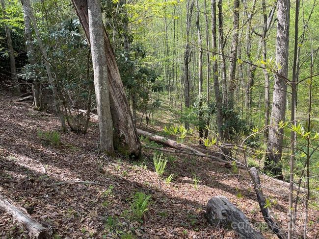 0000 Cawood Ln, Home with 0 bedrooms, 0 bathrooms and null parking in Clyde NC | Image 7