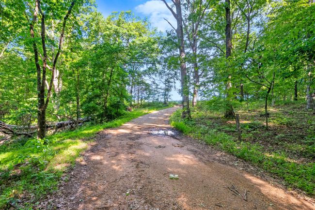 0 Happy Hills Acre Rd, Home with 0 bedrooms, 0 bathrooms and null parking in Woodlawn TN | Image 5