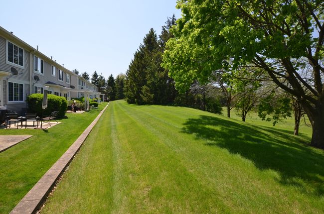 Backyard open space | Image 49