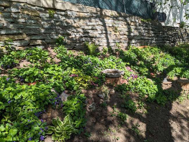 Current owners have turned this backyard into a paradise! | Image 18