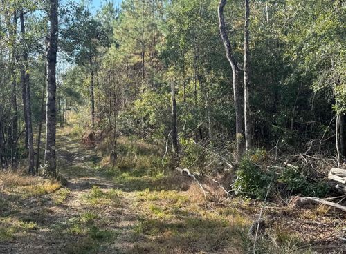 000 J Bailey Rd., Wiggins, MS, 39577 | Card Image