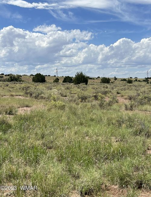 50 County Road 6019, Saint Johns, AZ, 85936 | Card Image
