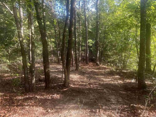 TBD Camden Ln, Amity, AR, 71921 | Card Image