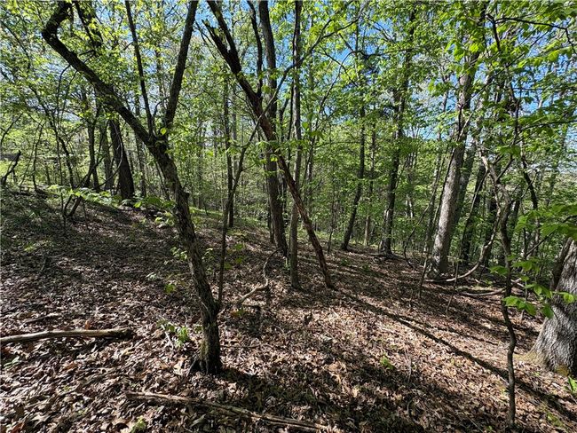 000 Holmes Rd, Home with 0 bedrooms, 0 bathrooms and null parking in Mountain View AR | Image 8