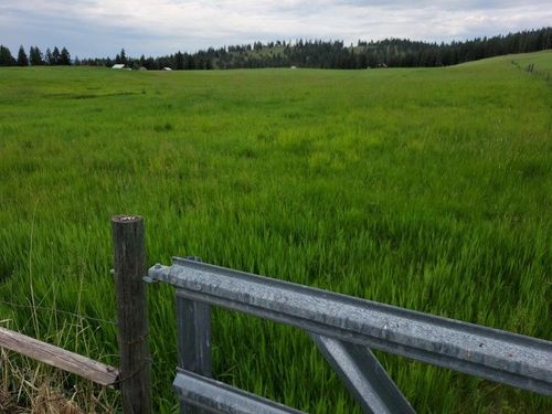 47 Old Ranch House Rd, Republic, WA, 99166-9564 | Card Image