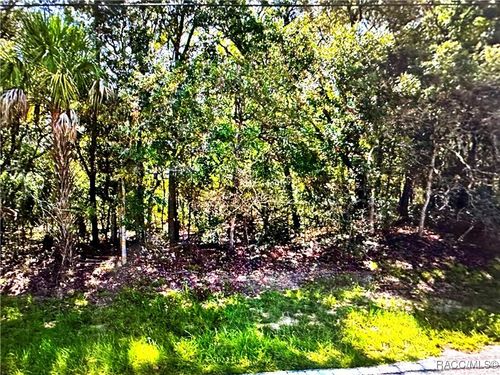 3617 N Annapolis Ave, Hernando, FL, 34442-4719 | Card Image