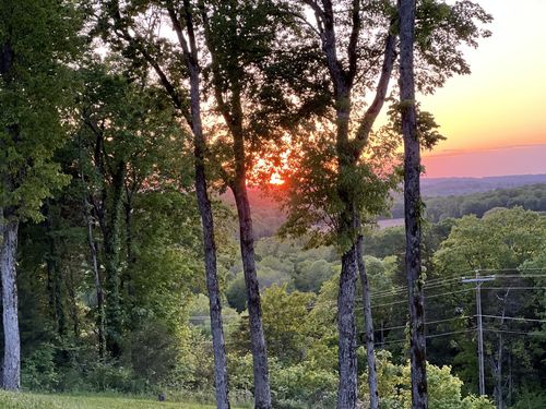 1555 Heller Rdg, Spring Hill, TN, 37174-5504 | Card Image