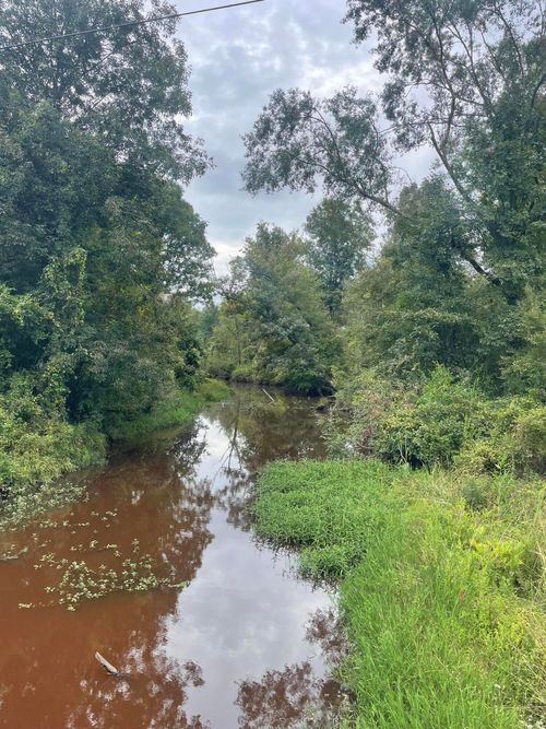 TBD County Road 16, Pachuta, MS, 39347 | Card Image