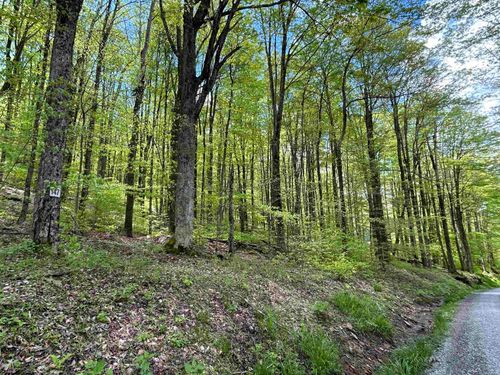 Lot 147 Cabin Mountain Rd, Davis, WV, 26260-8370 | Card Image