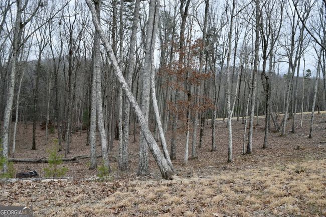 LOT 28 High Summit Dr, Home with 0 bedrooms, 0 bathrooms and null parking in Talking Rock GA | Image 11