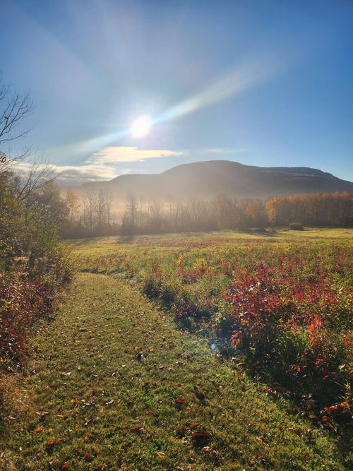 5195 Route 22 A, Addison, VT, 05491 | Card Image