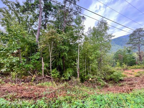 Lot 97 Bluff Ridge Rd, Sevierville, TN, 37876 | Card Image
