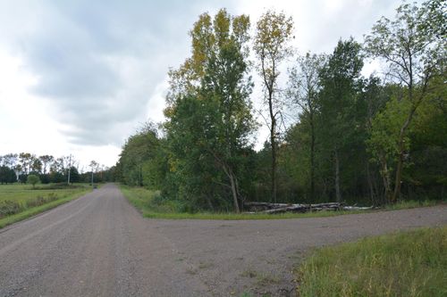 TBD 130th Ave, Milaca, MN, 56353 | Card Image