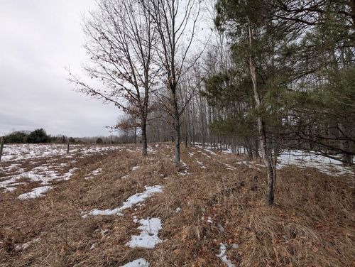 2370 S Coville Rd, Mikado, MI, 48745-9791 | Card Image