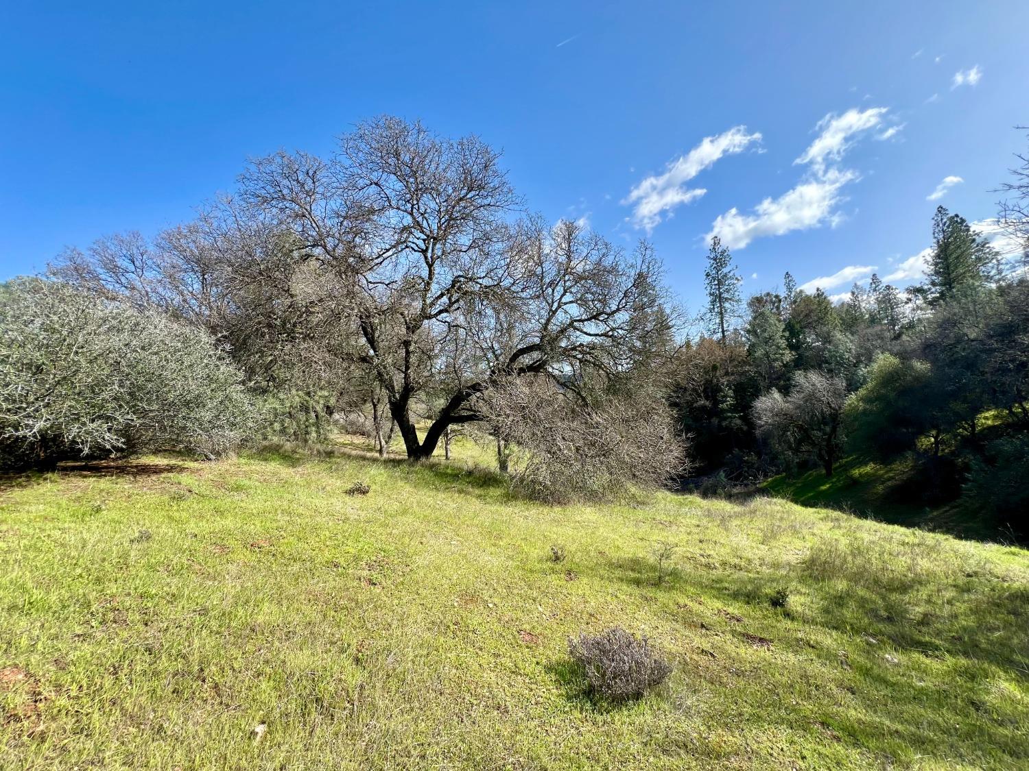 Land in Fiddletown 5