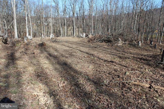 141 Hillcrest Dr, Home with 0 bedrooms, 0 bathrooms and null parking in New Creek WV | Image 21