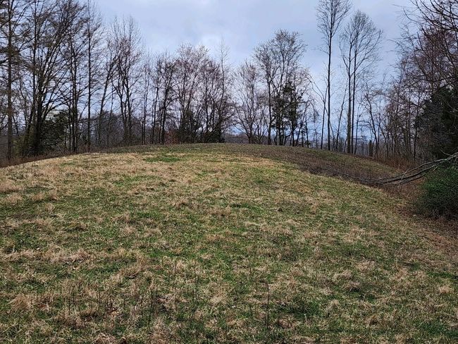 1438 Wartrace Rd, Home with 0 bedrooms, 0 bathrooms and null parking in Red Boiling Springs TN | Image 33