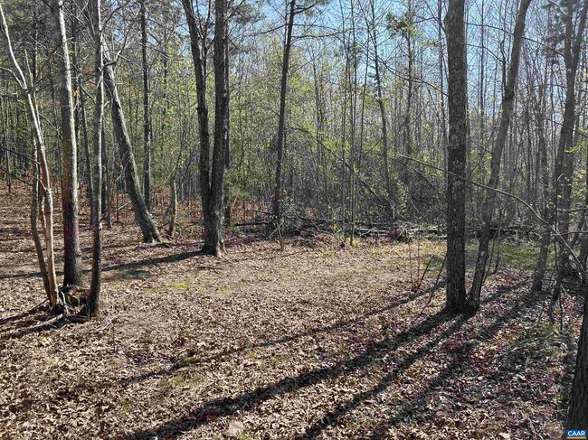 4064 Deep Creek Rd, House other with 2 bedrooms, 1 bathrooms and null parking in KENTS STORE VA | Image 33