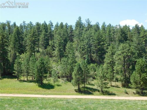 4668 Comanche Dr, Larkspur, CO, 80118 | Card Image