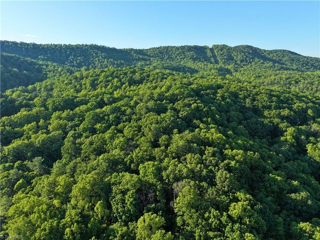 1440 Webb Mountain Rd, Home with 0 bedrooms, 0 bathrooms and null parking in Boones Mill VA | Image 31