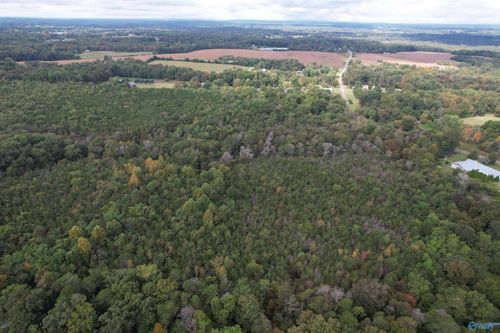 29.57 Ac County Road 155, Flat Rock, AL, 35966 | Card Image