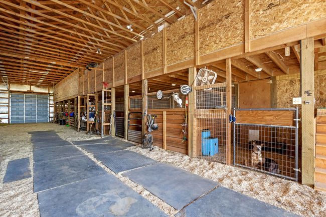 6 horse stalls | Image 24