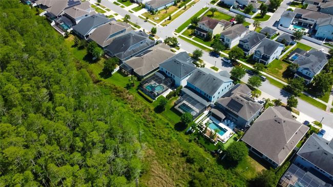14975 Renaissance Ave, House other with 4 bedrooms, 3 bathrooms and null parking in ODESSA FL | Image 70