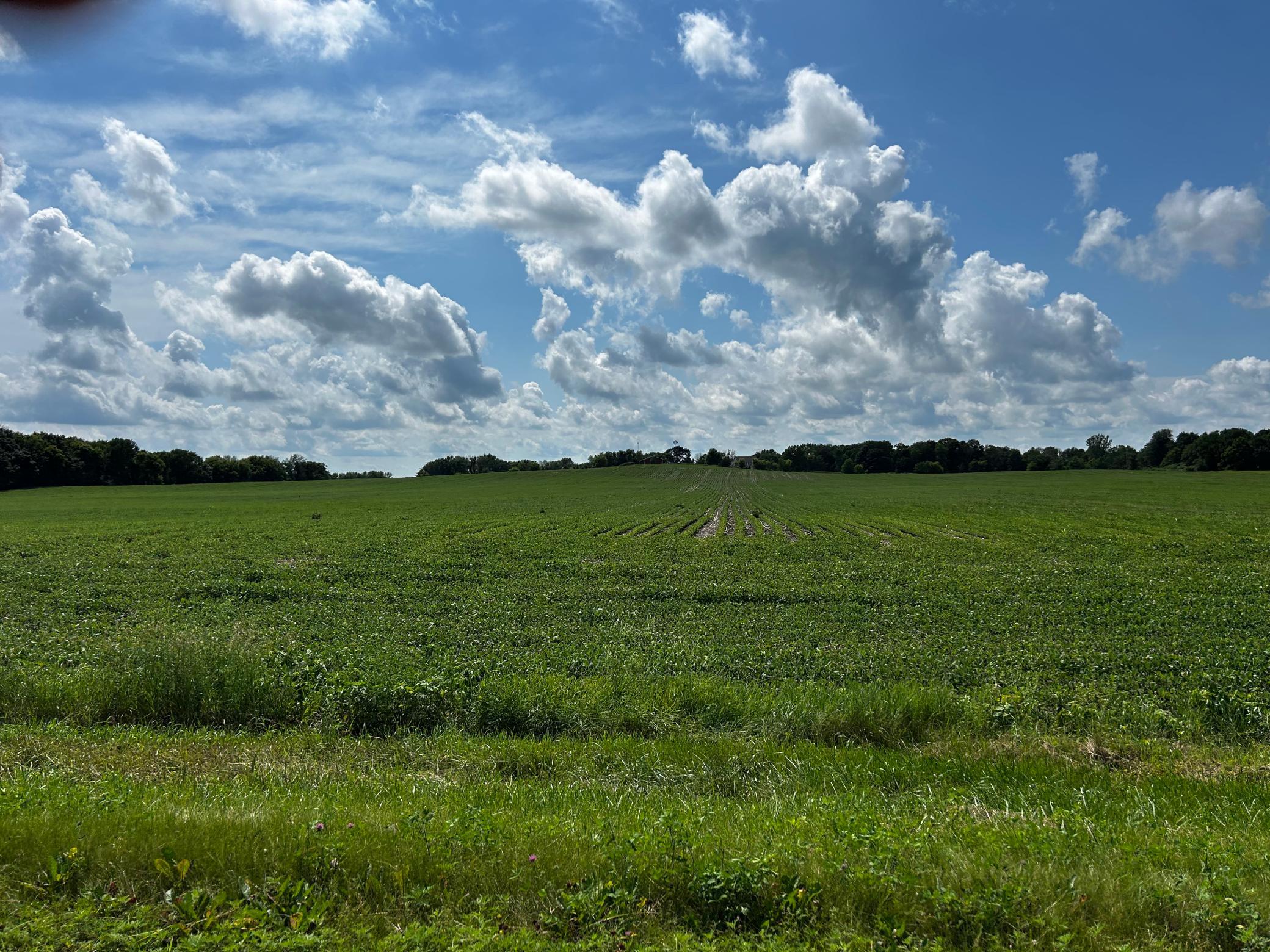 Land in Chaska 2