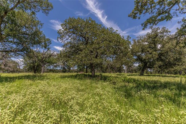8 Mill Creek Ranch Rd, Home with 0 bedrooms, 0 bathrooms and null parking in New Ulm TX | Image 14