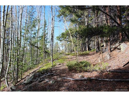 4 Lamertine Rd, Idaho Springs, CO, 80452 | Card Image