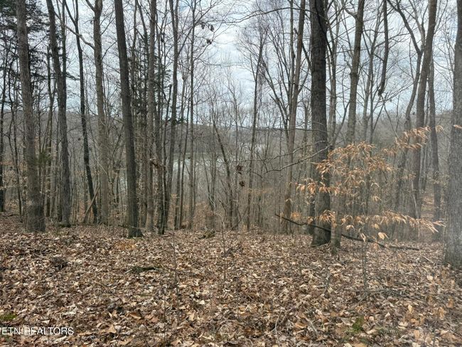 649 Garrett Town Ln, Home with 0 bedrooms, 0 bathrooms and null parking in Monroe TN | Image 18
