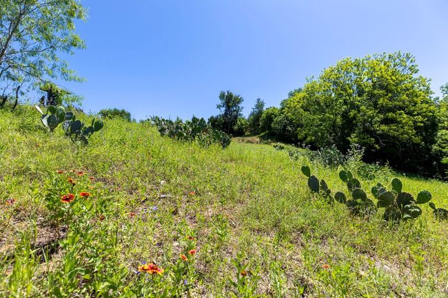 View of nature | Image 24