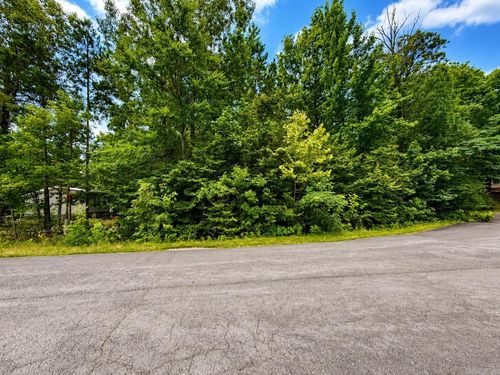 Lot 63 Slatecreek Way, Lonsdale, AR, 72087 | Card Image