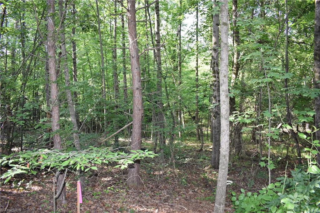 Land in Winston-Salem 5