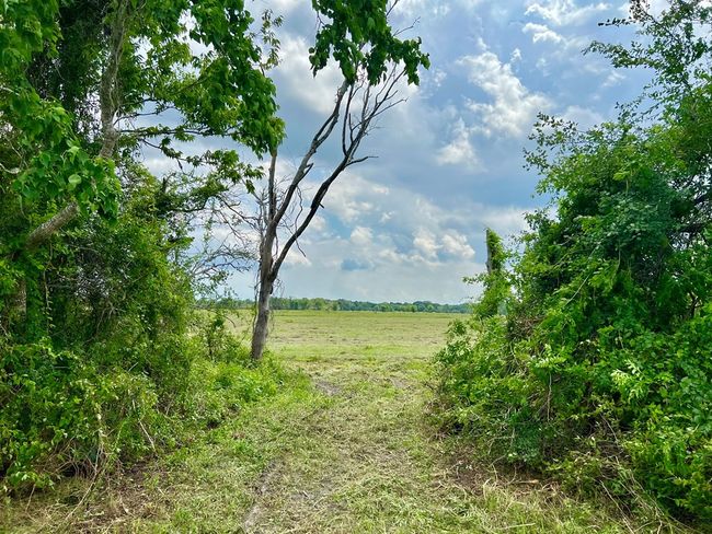 00 Apache Trl, Home with 0 bedrooms, 0 bathrooms and null parking in Angleton TX | Image 8