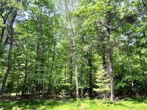 Lot 33 White Pine Loop, Eagle River, WI, 54521 | Card Image
