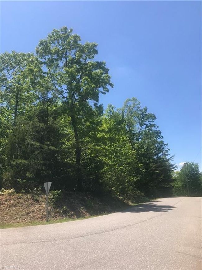 19 Rose Briar Rd, Home with 0 bedrooms, 0 bathrooms and null parking in Boomer NC | Image 16