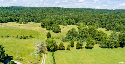000 Henry Hicks Rd, Herod, IL, 62947 | Card Image