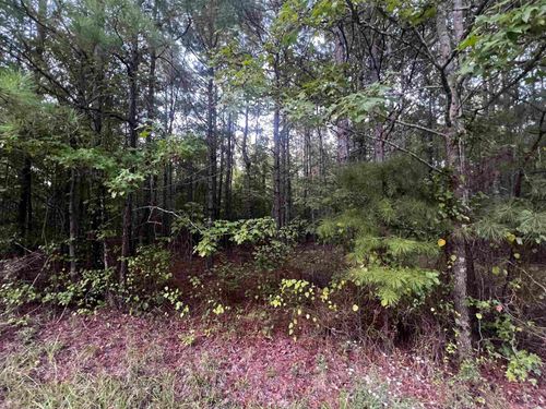 0000 Lanni Ln, White Hall, AR, 71602 | Card Image