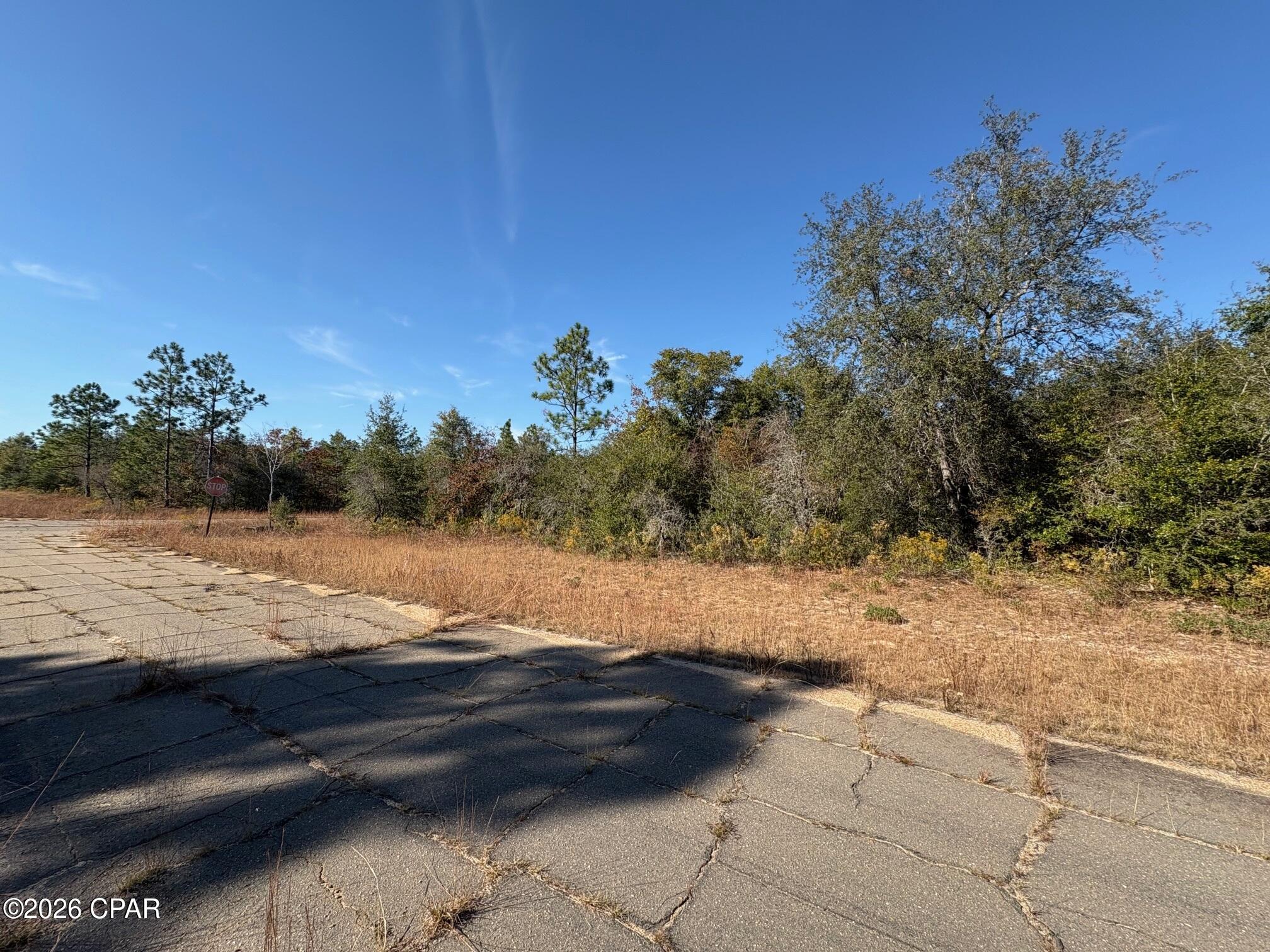 Land in Chipley 2