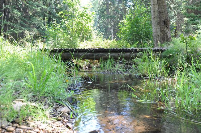 1876 Timber Creek Rd, House other with 8 bedrooms, 6 bathrooms and null parking in Haugan MT | Image 67