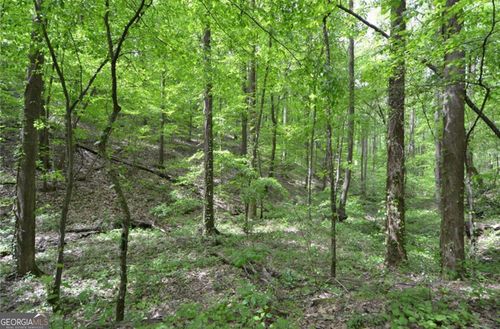 0 Sutton Rd, Talking Rock, GA, 30175 | Card Image