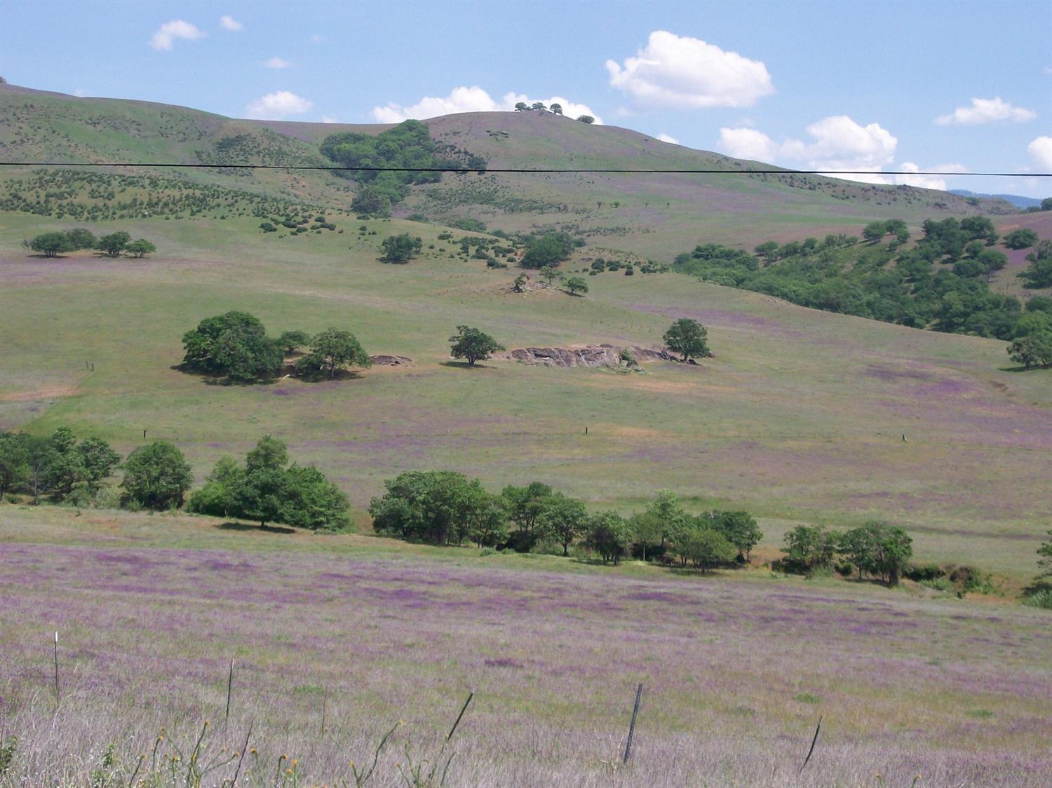 Land in Ashland 4